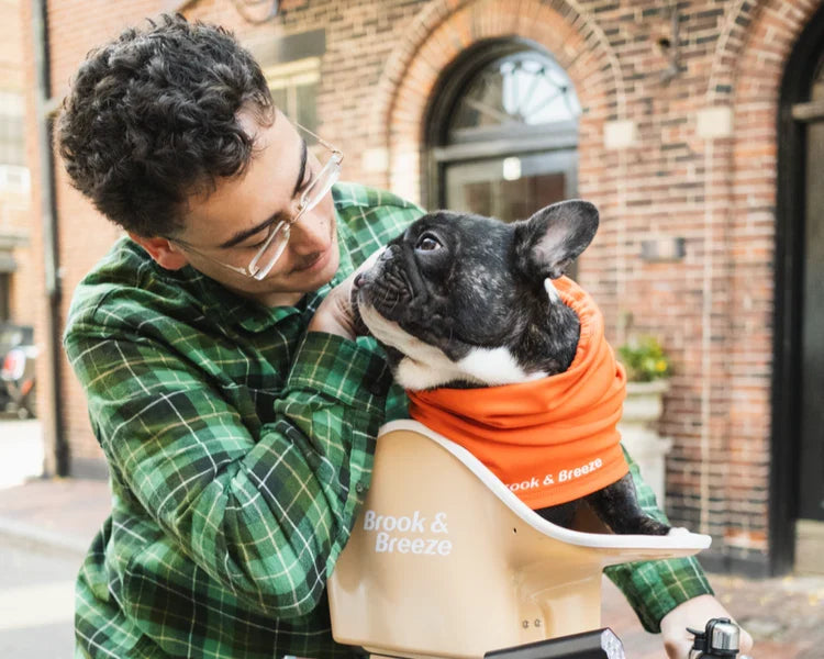 B&B Canine Copilot Honden Fietszitje voor Kleine Honden Beige