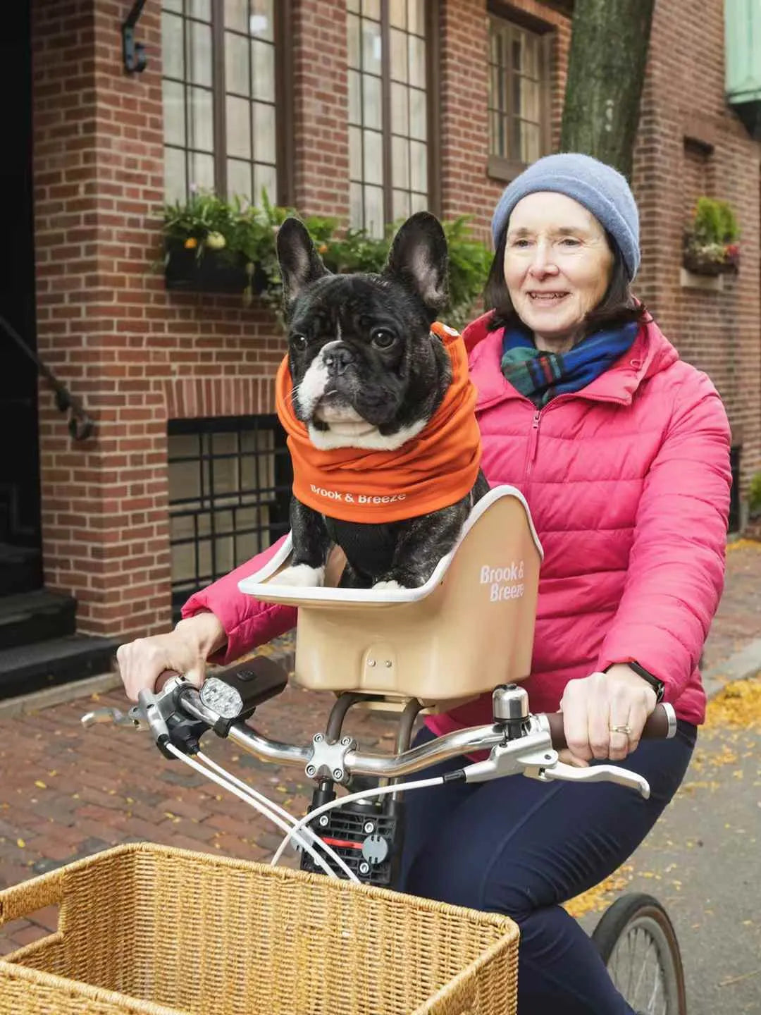 B&B Canine Copilot Honden Fietszitje voor Kleine Honden Beige