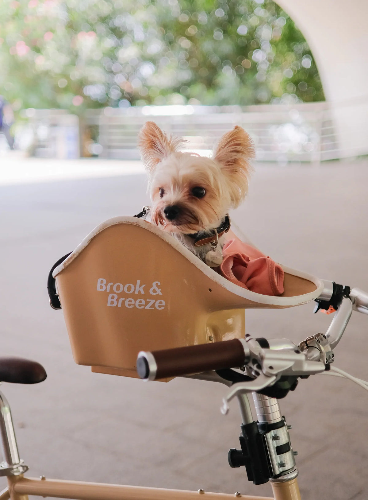 B&B Canine Copilot Honden Fietszitje voor Kleine Honden Beige