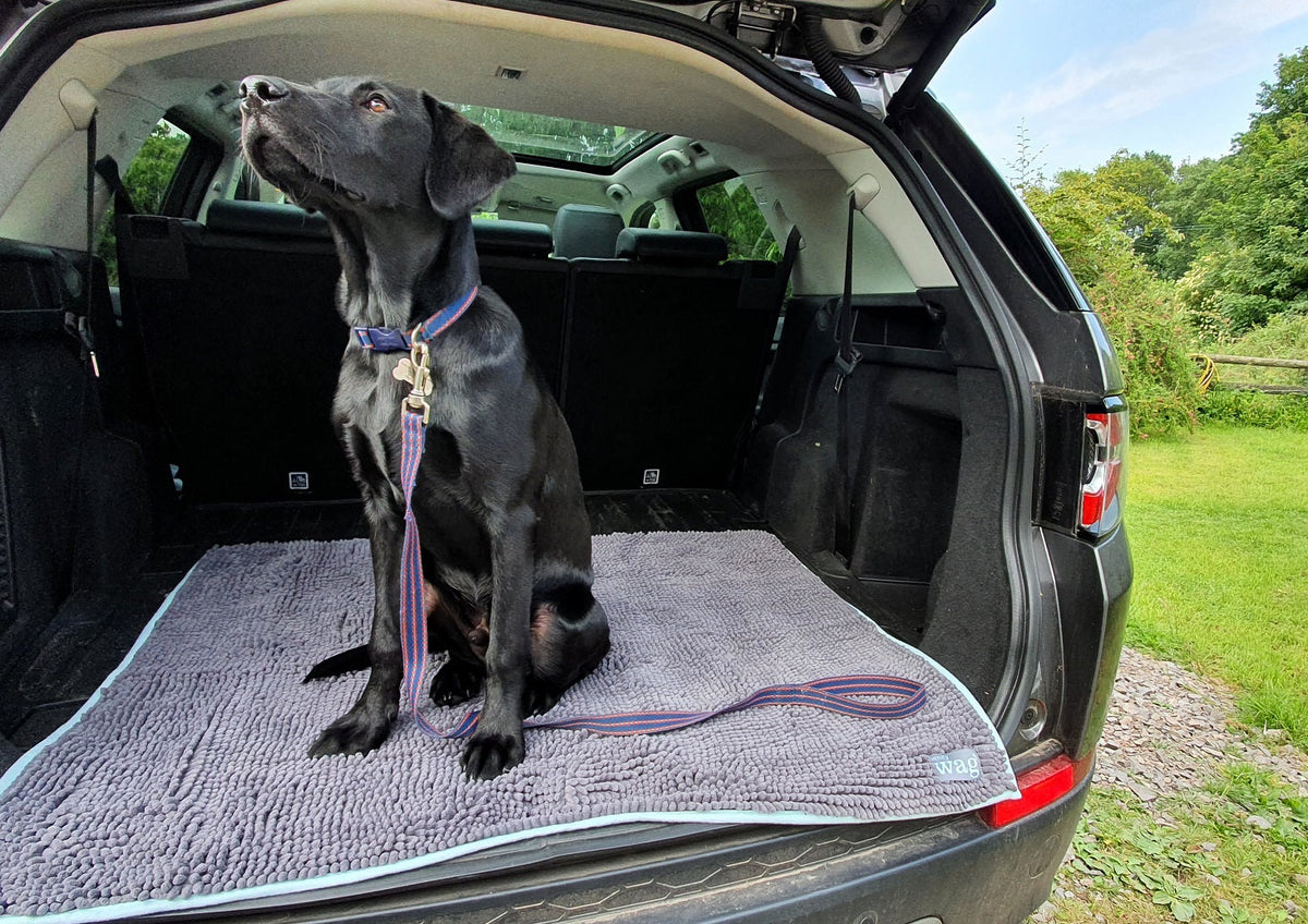 Henry Wag Microvezel Noodle Huisdier Mat - XL droogmat hond
