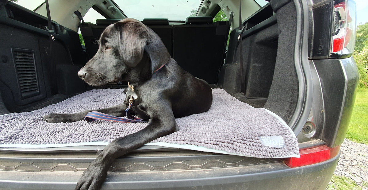 Henry Wag Microvezel Noodle Huisdier Mat - XL droogmat hond