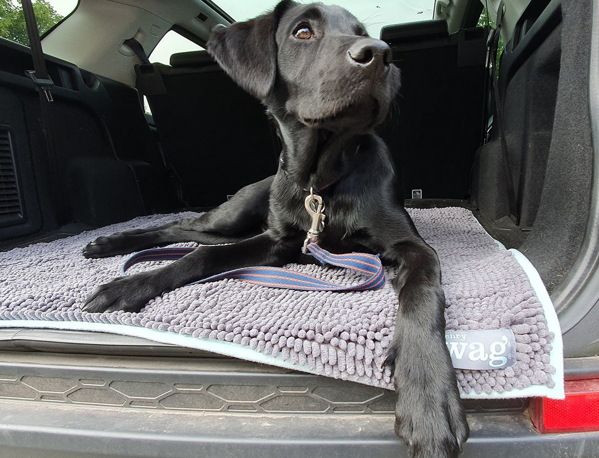 Henry Wag Microvezel Noodle Huisdier Mat - XL droogmat hond