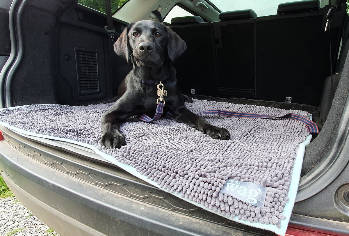 Henry Wag Microvezel Noodle Huisdier Mat - XL droogmat hond