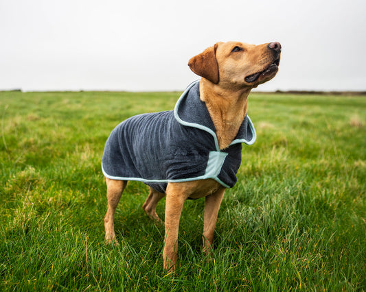 Henry Wag hondenbadjas microvezel - droogjas voor honden - Maat XL