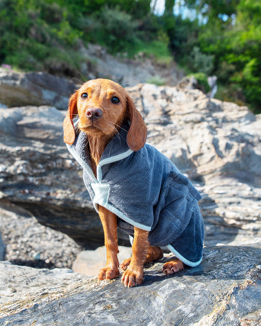 Microvezel hondenbadjas - droogjas voor honden - Maat S