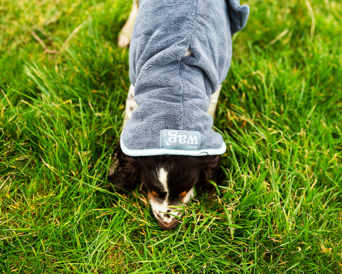 Henry Wag honden badjas - droogjas voor honden - Maat M