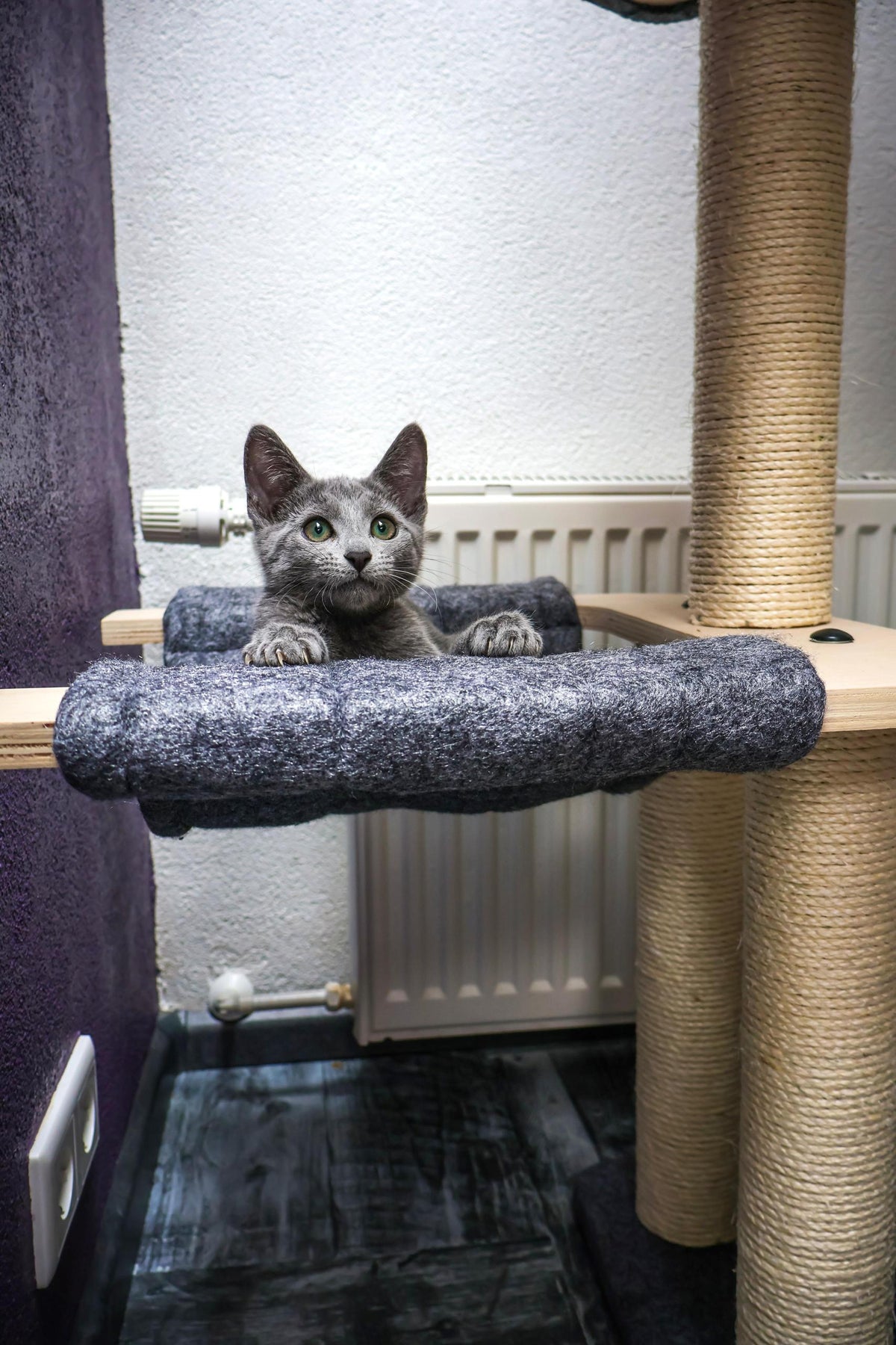 Katten krabpaal Candy - klimboom voor katten
