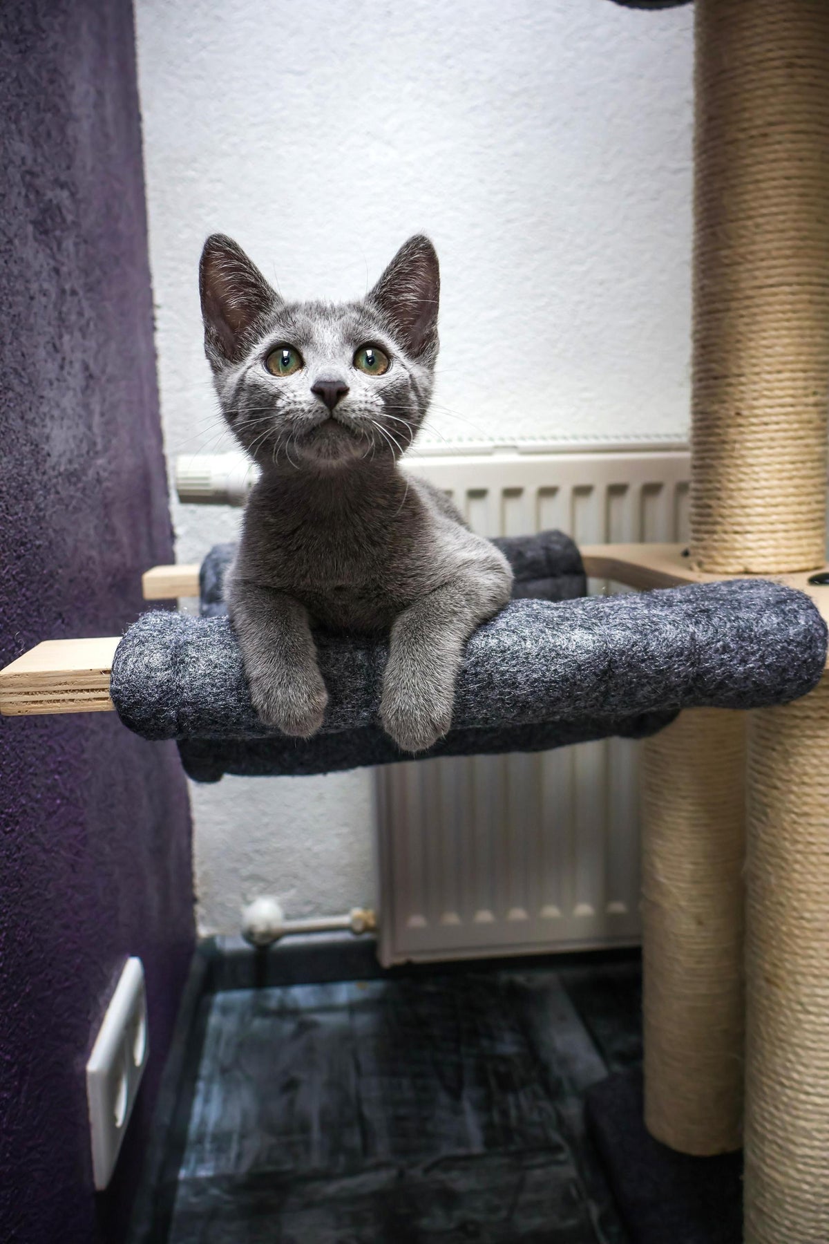 Katten krabpaal Candy - klimboom voor katten