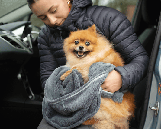 Henry Wag honden droogzak - microvezel - Maat S