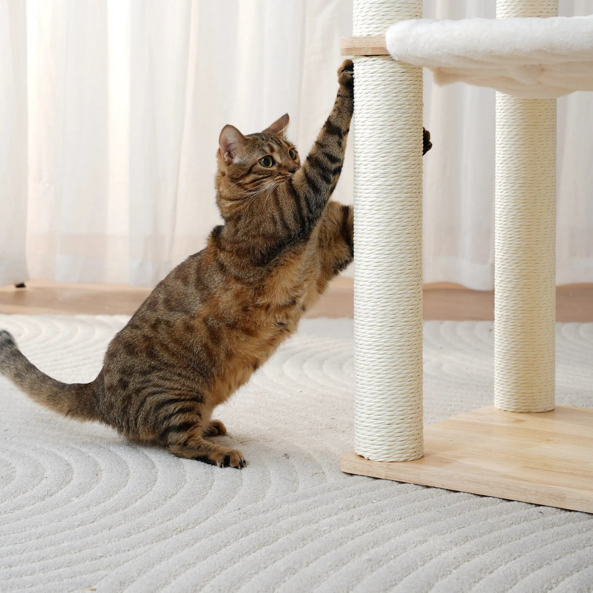 MILA moderne kattenboom van rubberhout - krabpaal met mand en trap