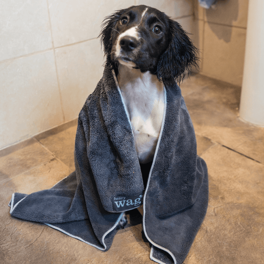 Henry Wag huisdierhanddoek voor honden en katten - maat S