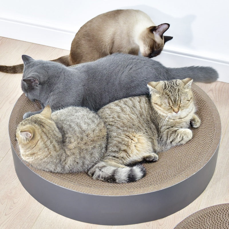 Duurzame kattenmand met krabplank voor katten