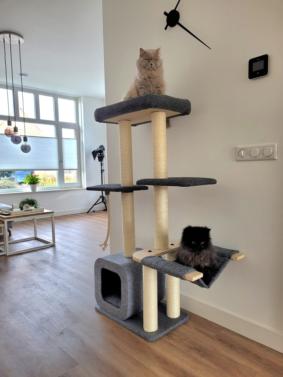 Katten krabpaal Candy - klimboom voor katten