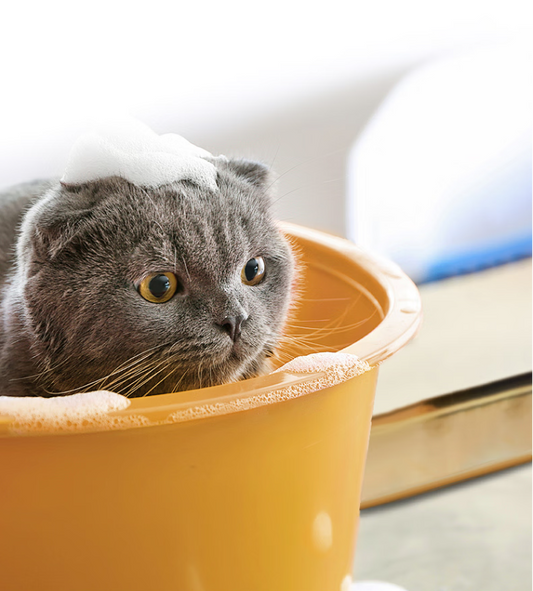 Ontharing Shampoo voor katten met radix extract 200ml