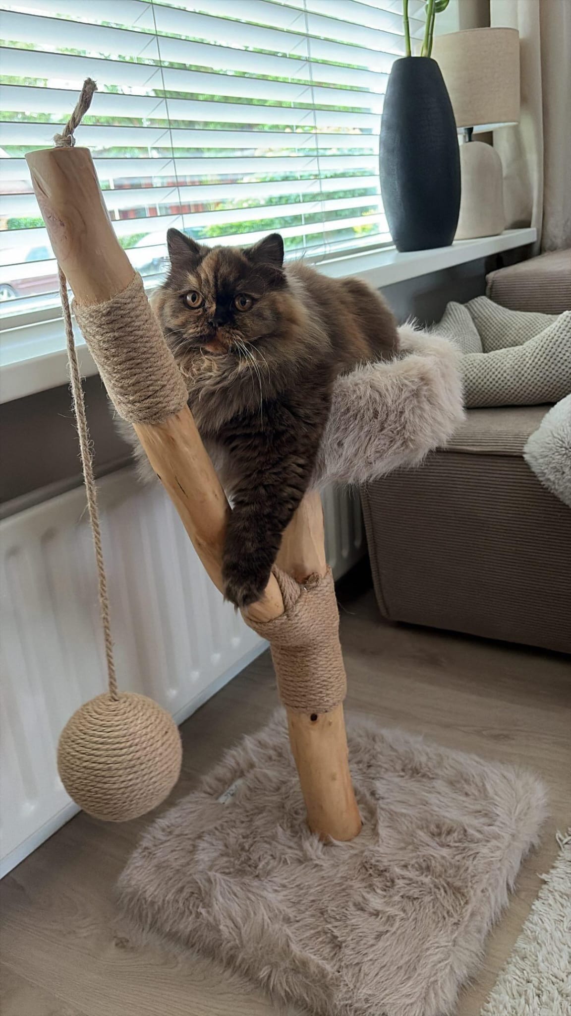 LUNA krabpaal – Stabiele klimpaal voor katten