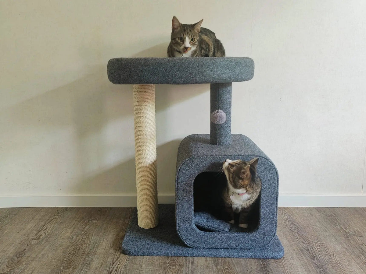 MILO Krabpaal voor katten met huisje - 2 niveaus en gezellige slaapplek