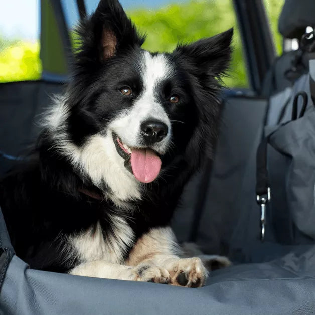 Henry Wag huisdier auto hangmat - hondendeken voor auto